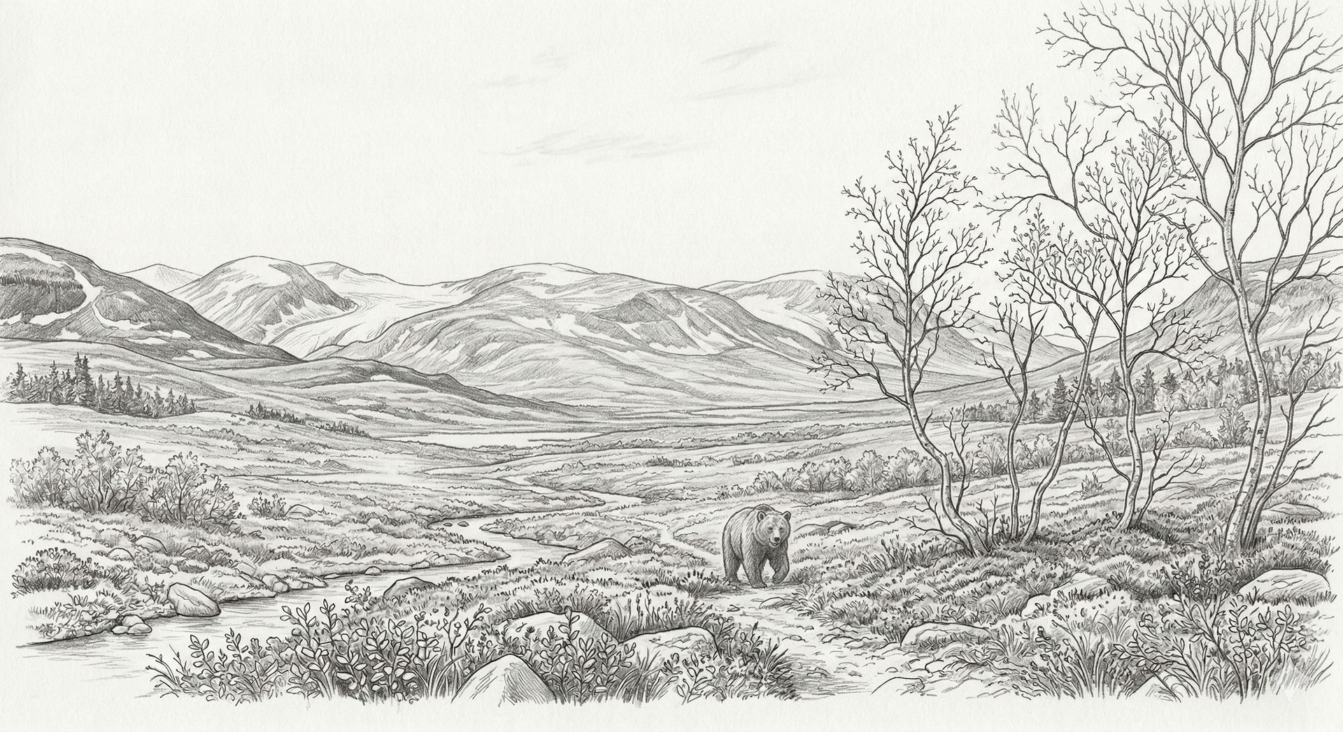 Fjällandskap med björn – akvarellillustration